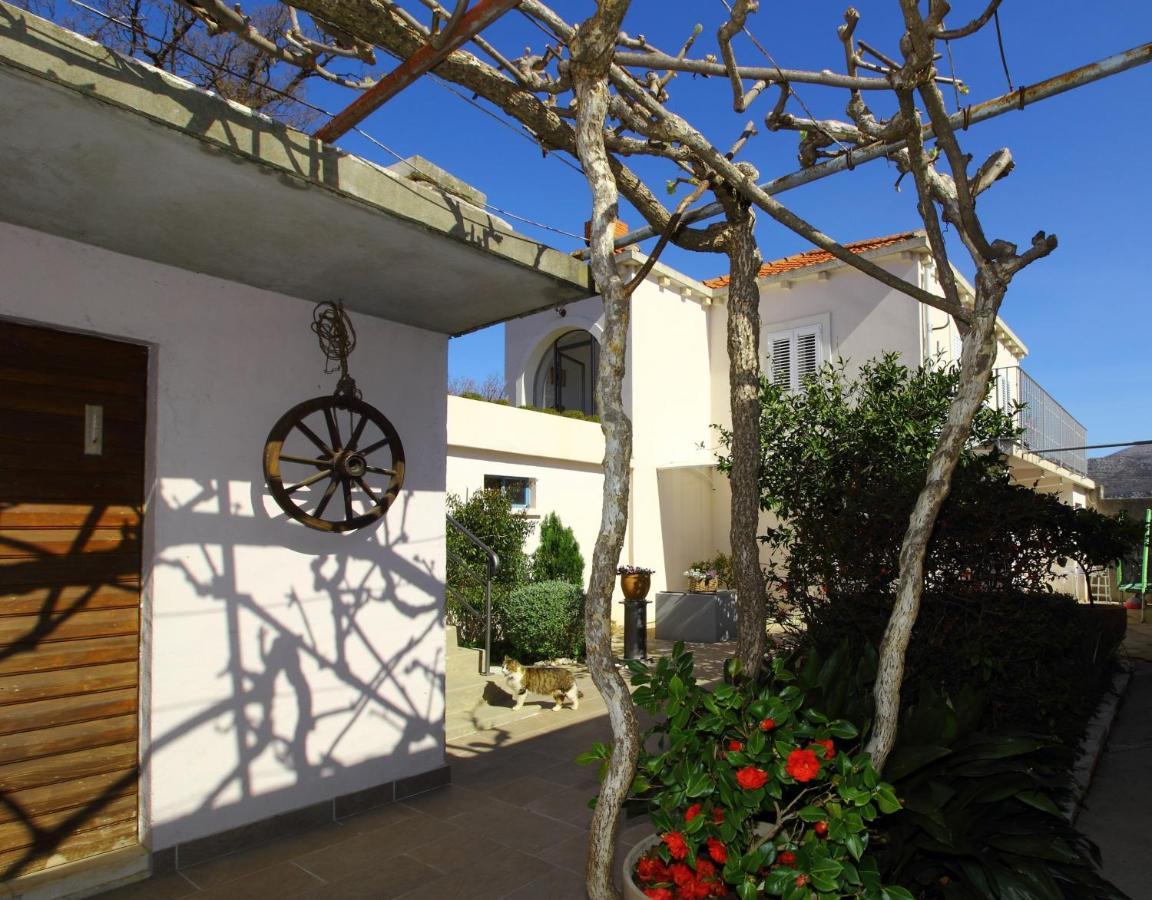 Apartment Marita Čilipi Dış mekan fotoğraf